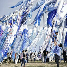 宮城で青いこいのぼりの祭り　大震災が契機、能登地震にも思い