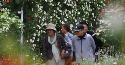 奈良市の霊山寺でバラが開花　色鮮やか200種2000本、安らぎのとき