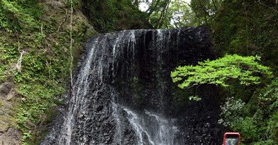 心癒やす秘境の名瀑　四方木不動滝に新緑映える　鴨川（千葉県）
