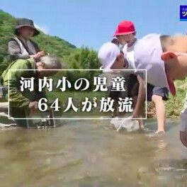 西日本豪雨でアユが消えた川　コケや水辺のヨシが生え、6年かけて“アユが育つ環境”戻る【広島発】