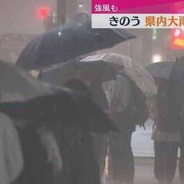 県内大雨や強風で一部交通機関に影響（静岡）