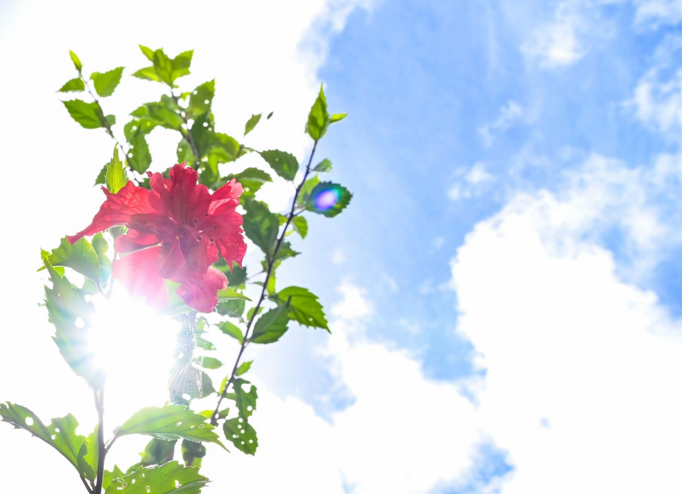 沖縄の真夏日、那覇で最多の146日　2025年、暴風警報の発表なく