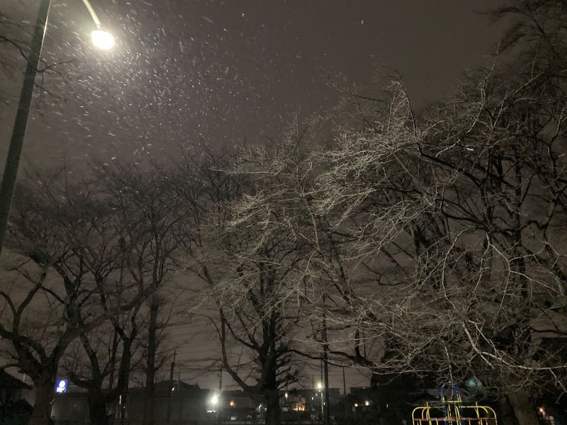 【速報】埼玉県全域に大雪注意報　南部・北部で8センチ、秩父で15センチの降雪予想　東京23区でも5センチ