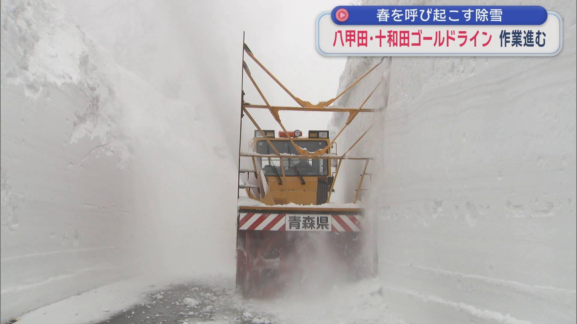 春を呼び起こす除雪　八甲田・十和田ゴールドライン　作業進む
