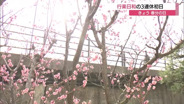 霧の朝から春の日差し…3連休初日「春分の日」　冬の名残と新しい季節が交わる穏やかな一日に