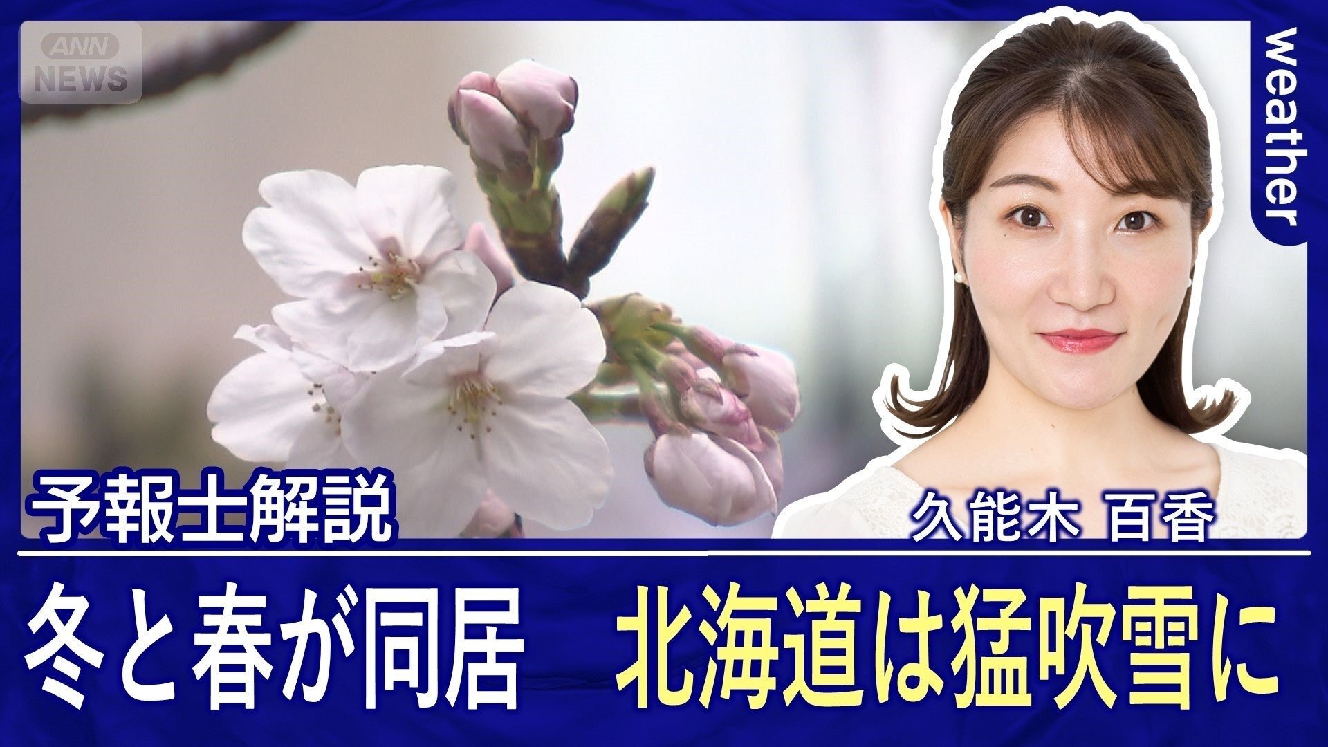 冬と春が同居　３連休は北海道で猛吹雪に　関東から西ではサクラ咲き進む暖かさ