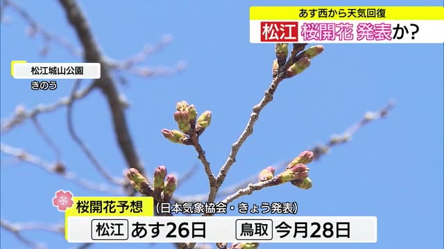 松江は26日に開花？最新予想…天気回復後は春本番の陽気に恵まれ桜前線北上　4月上旬に満開へ