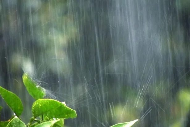 警報級の大雨恐れも　沖縄本島地方、夕方にかけて激しい雨の見込み　石垣、竹富では1時間に60ミリ観測（30日正午現在）　