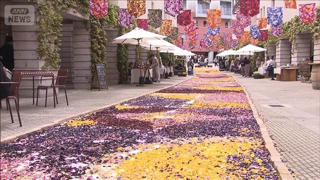 チューリップの花びらで絨毯 160mの回廊 山梨・北杜市