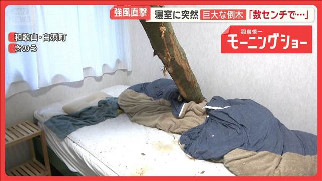天気大荒れGW　東京で30℃超、北海道で雪　強風直撃で寝室に巨大倒木「数センチで…」