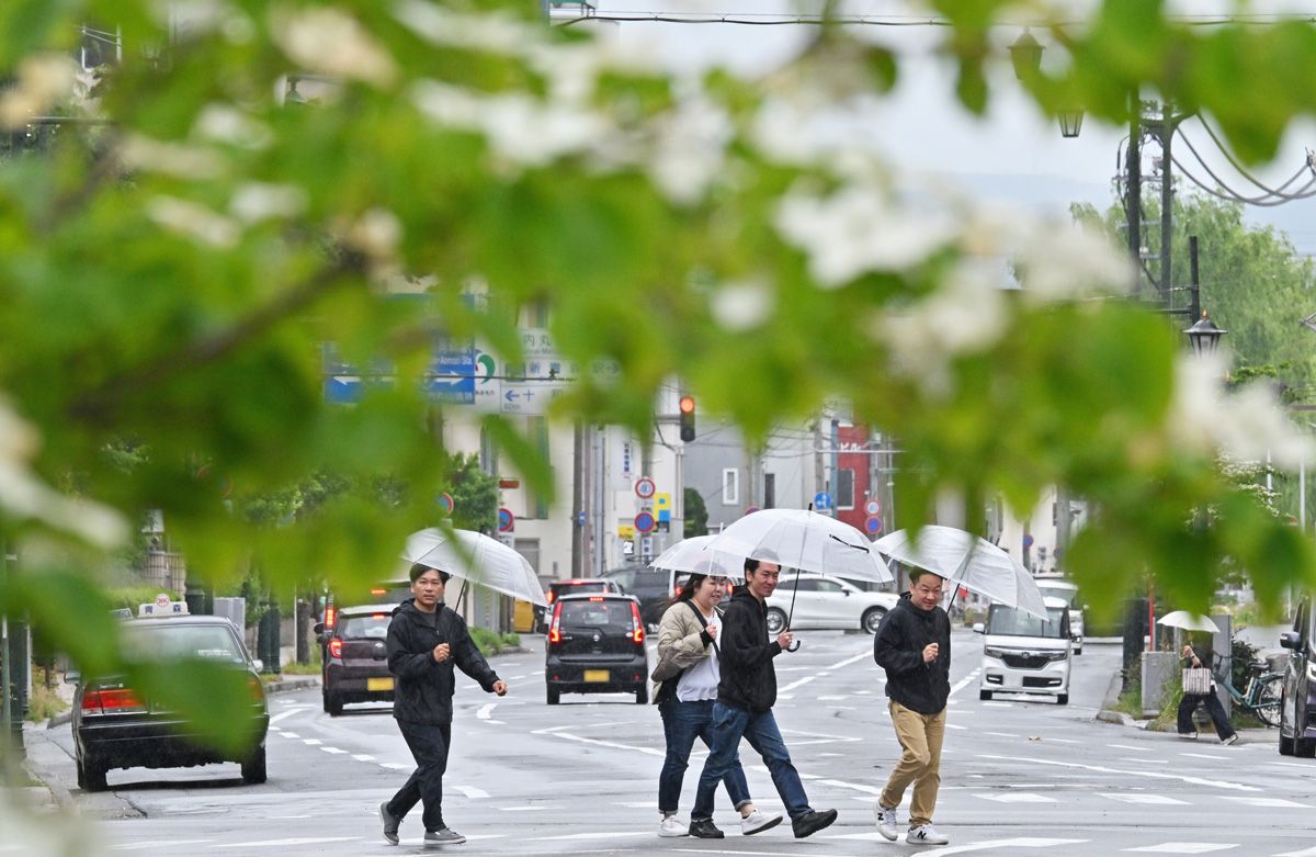 青森県梅雨入り、街路樹色濃く／平年比6日遅れ