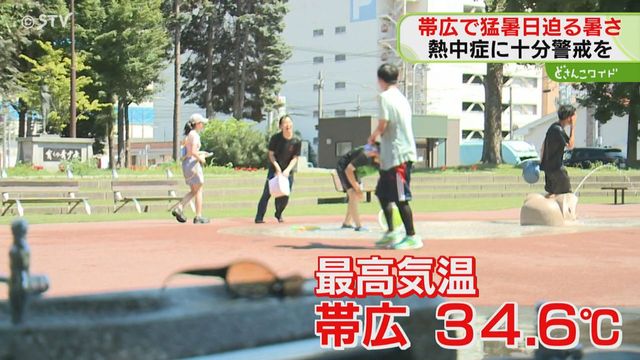 北海道内60地点で真夏日に　帯広など猛暑日に迫る暑さ　５人が熱中症疑いで搬送　北海道