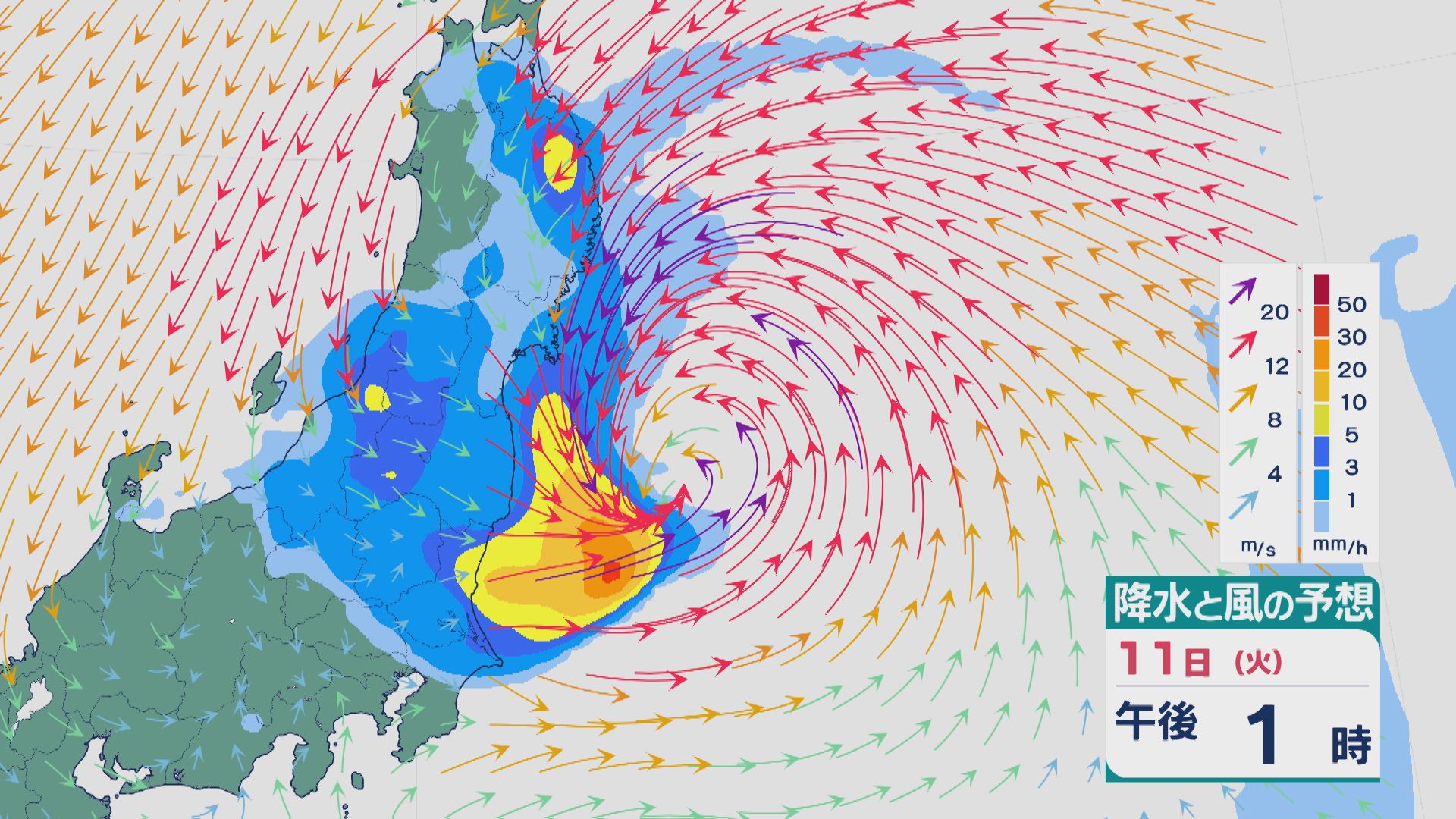 【台風情報】台風15号（チャンホン）は11日（火）に東北太平洋側に上陸のおそれ 東北から北陸にかけては台風による雨雲が到来し雨・風強まる見込み  最新の進路と雨・風シミュレーション　