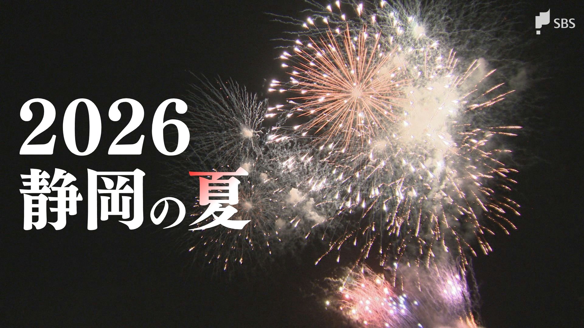 「やっと日本一になれた」「途方に暮れた」喜怒哀楽...2026年夏のニュース総決算=静岡