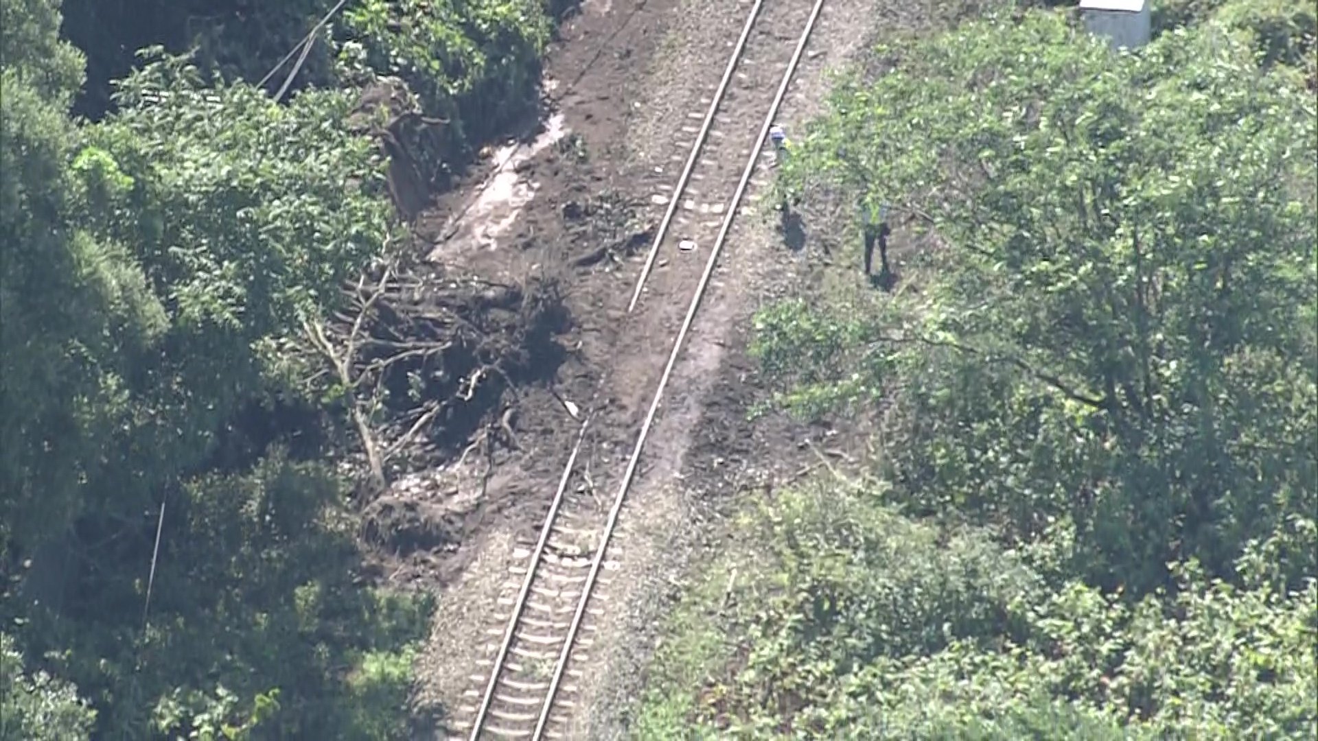 【バス代行】JR室蘭線が大雨被害で脱線・土砂流入…8月30日から東室蘭〜長万部でバス代行輸送を実施　特急北斗は全区間運休続く