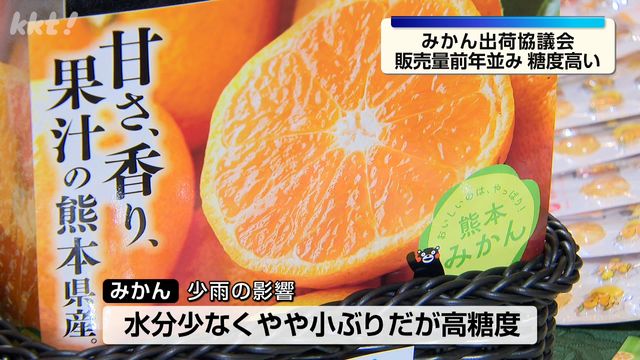 秋みかん出荷協議会 地震の果実への被害なく販売量は前年並みの2万6400トン見込む