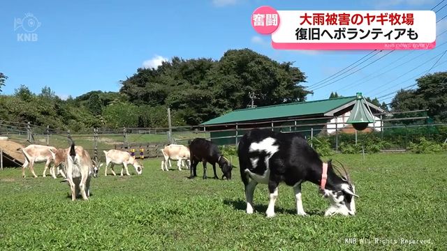 記録的大雨で被災　山あいのヤギ牧場はいま　富山県氷見市