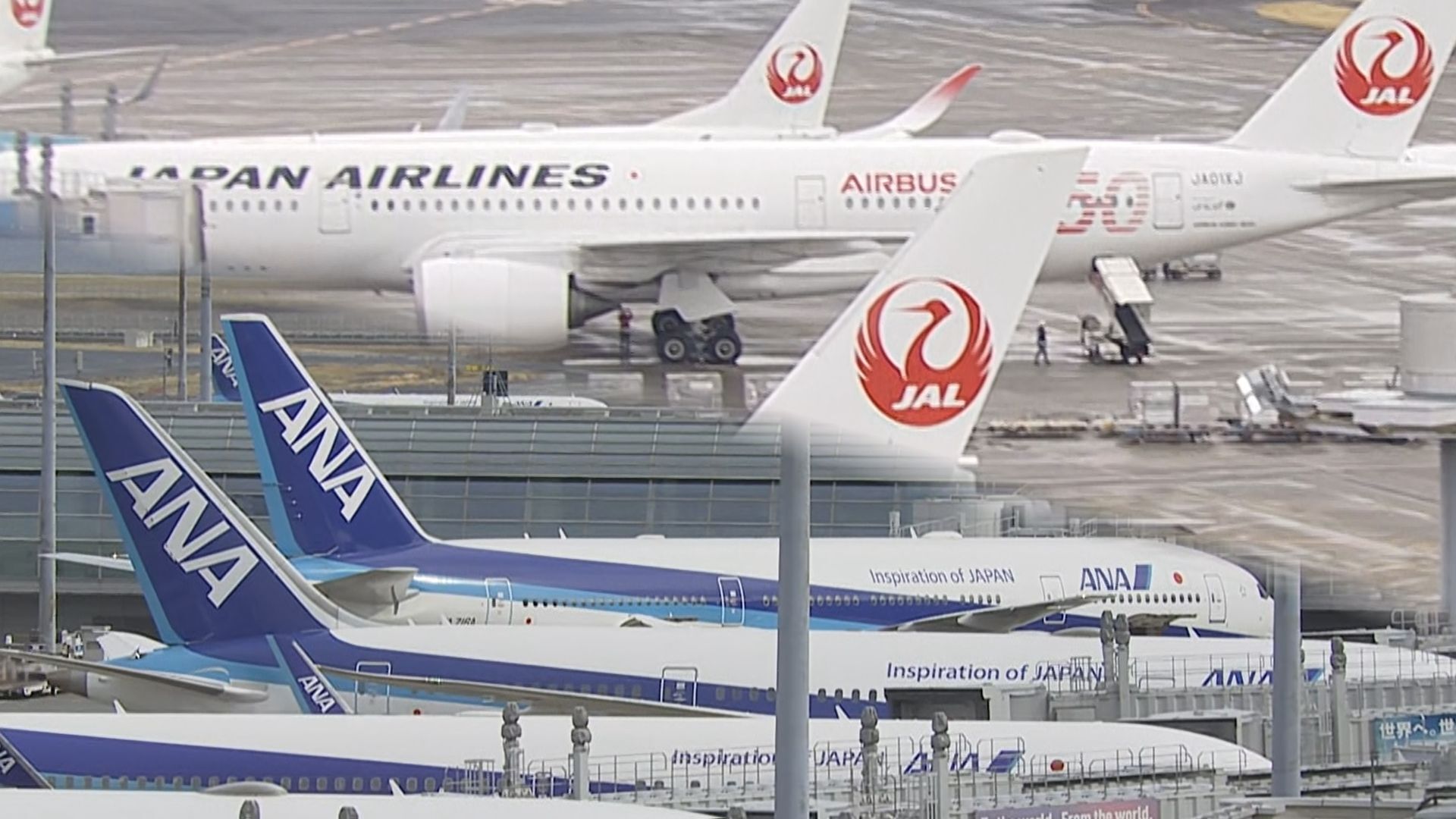 台風25号 空の便への影響 ANAは羽田発着便を中心に53便欠航【20日午後9時45分時点】