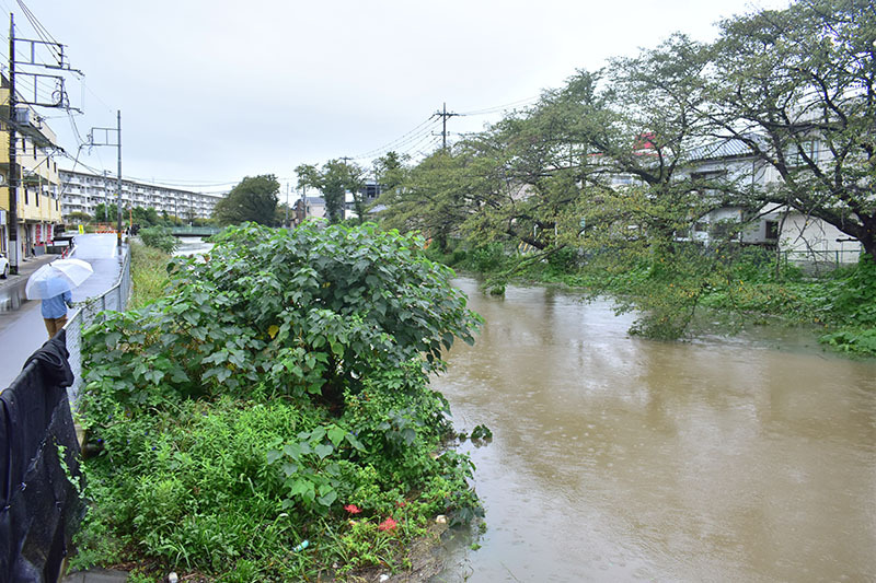 ＜台風25号＞埼玉の河川に氾濫警報　川沿いの住民ら「前回より明らかに水位が上がっている」「防水壁のない箇所から水が回り込まないか心配」と不安そうに語る