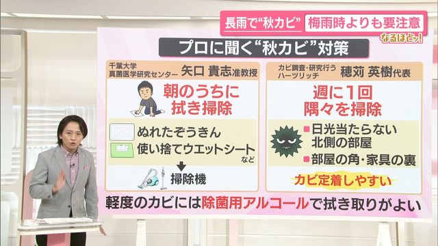 観測史上最長の雨“秋カビ”に要注意　吸いすぎでアレルギー症状出る可能性も？　「朝に拭き掃除」プロに聞く対策【なるほどッ！】