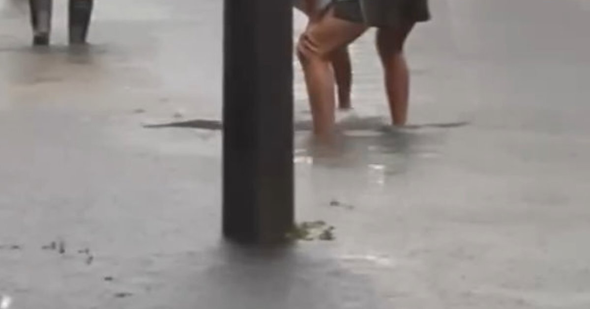 名古屋を襲った記録的豪雨→家屋浸水を防いだ“目からウロコの対策”に「勉強させていただきました」「覚えておきます」