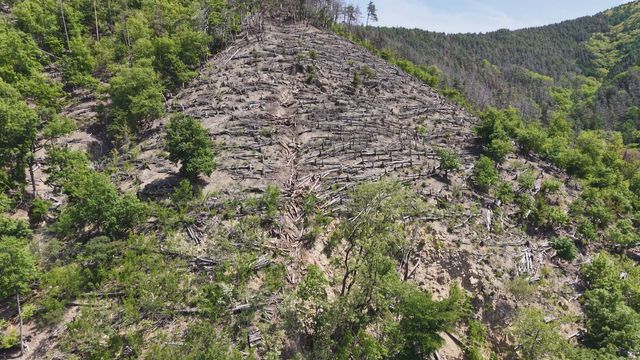 松本市の巨大岩崩落…原因は「風化・侵食」　県が報告書を公表【長野】