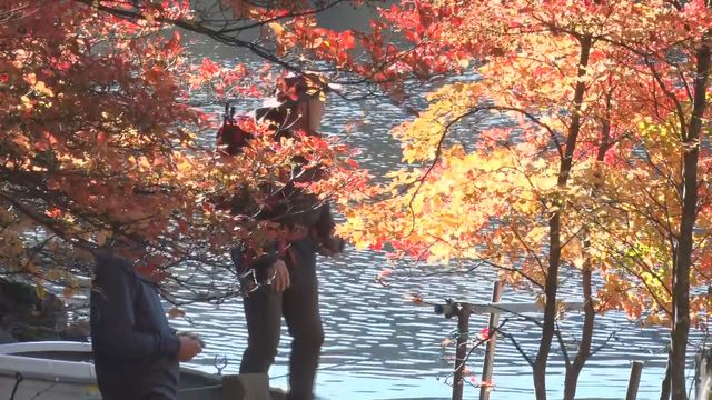 「青空に映えてすごくきれい」冷え込みで紅葉一気に進む　白駒の池は見頃　10月20日ごろまで楽しめる【長野】