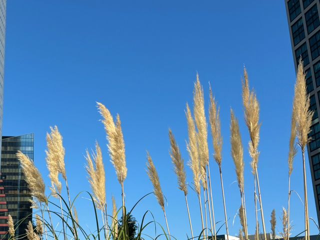 【8日の天気】朝は今季一番の冷え込み　日中は秋晴れで“夏日”　一日の寒暖差大