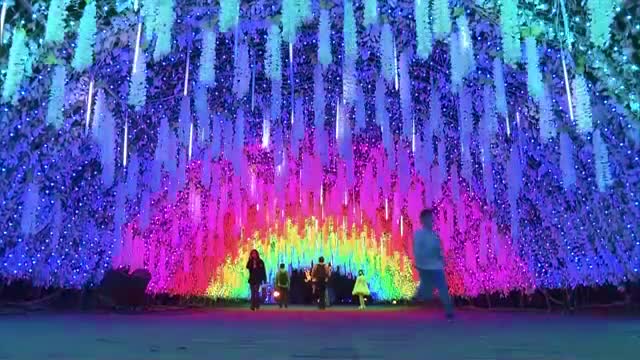 550万球の光が灯す幻想的な空間　時之栖で恒例のイルミネーションが点灯