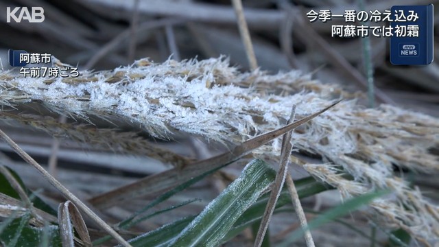 阿蘇で“初霜”「早くも初ダウン…」熊本県各地で今シーズン一番の冷え込み