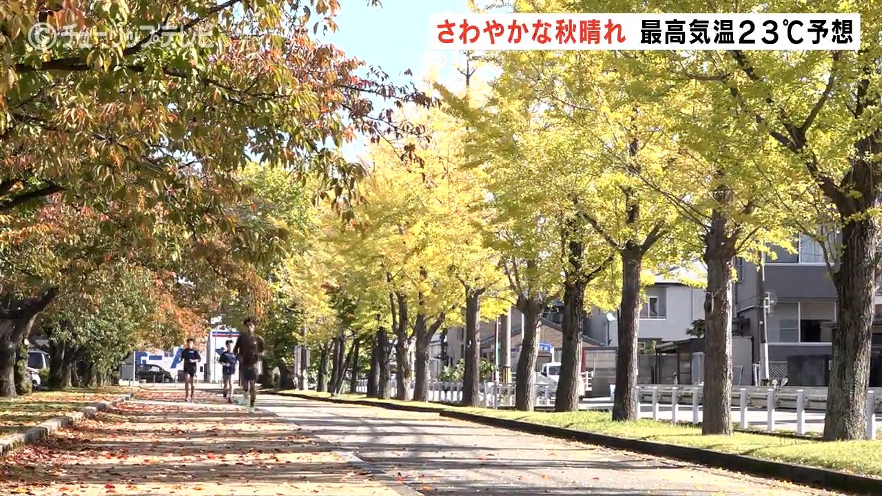 さわやかな秋晴れでお出かけ日和に 最高気温は23℃予想 県五福公園のイチョウ見ごろ
