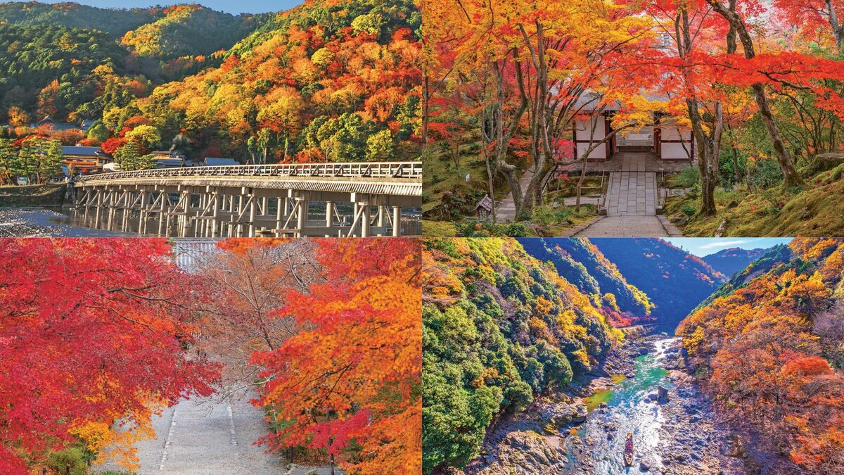 渡月橋だけじゃない！　京都「嵐山エリア」のおすすめ紅葉名所2026