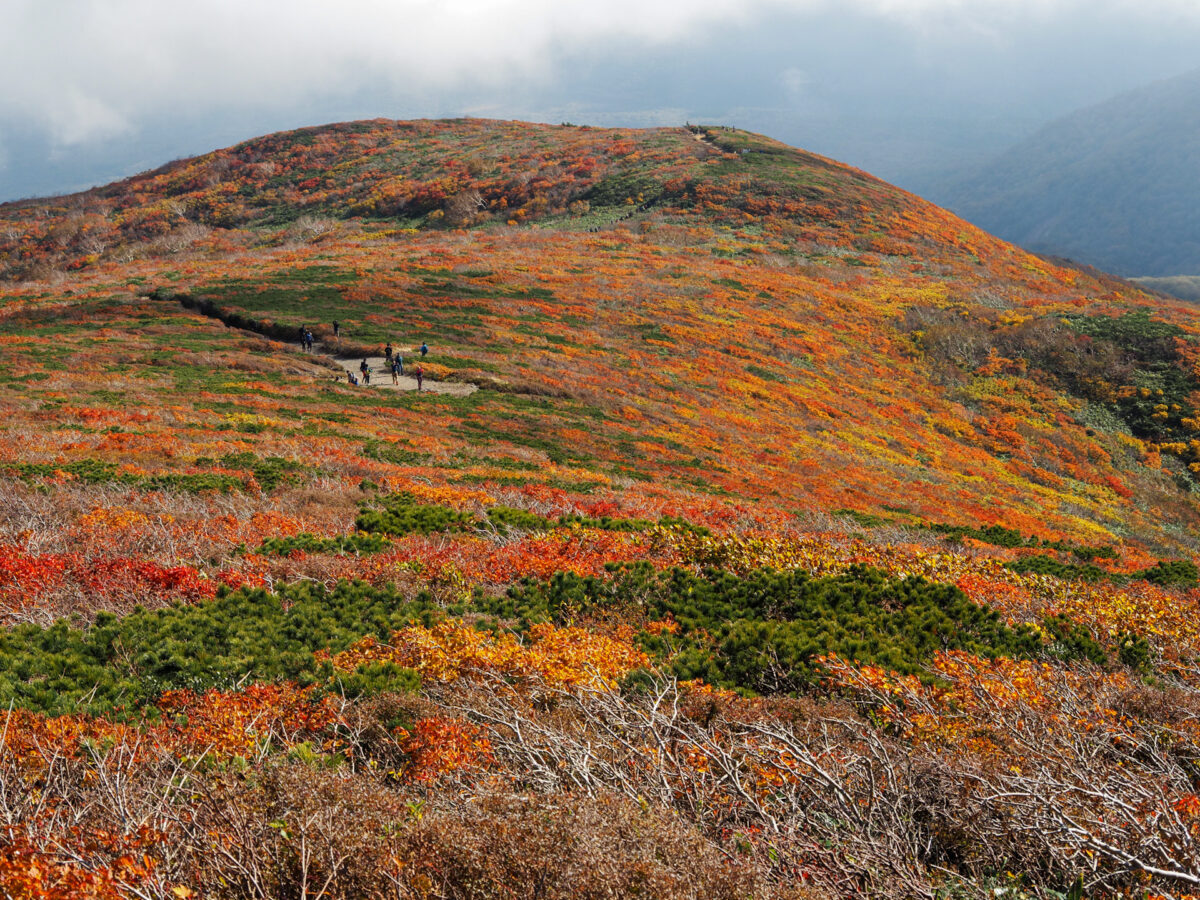 イロトリドリに輝く神の絨毯に囲まれて。おいしいよりみちで充実の東北日帰り旅！