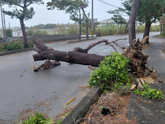 最大瞬間風速35㍍を観測　台風30号　宮古から遠ざかる