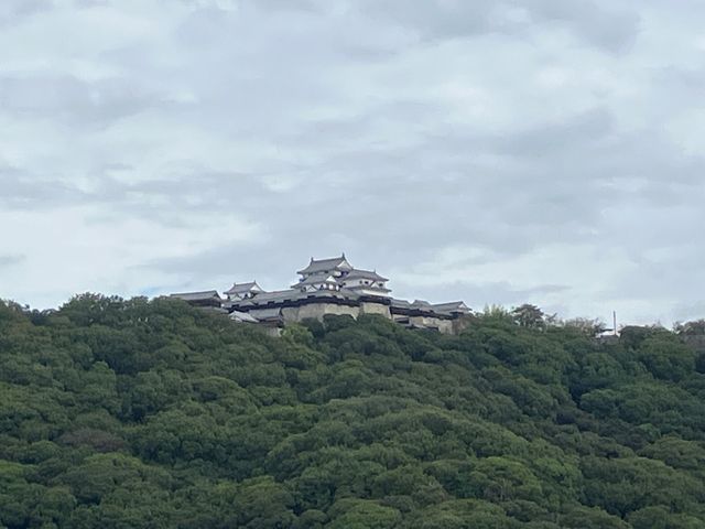 警報級の大雨となる可能性も…台風30号接近　あすにかけ激しい雨のおそれ　土砂災害や低い土地の浸水などに十分注意【愛媛】