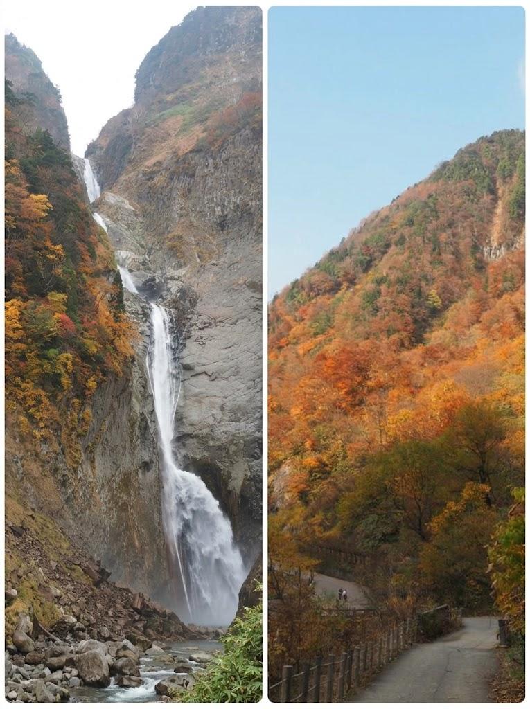 日本一の落差「称名滝」がある富山県　クマだけじゃない　暖冬で増える可能性がある動物は？